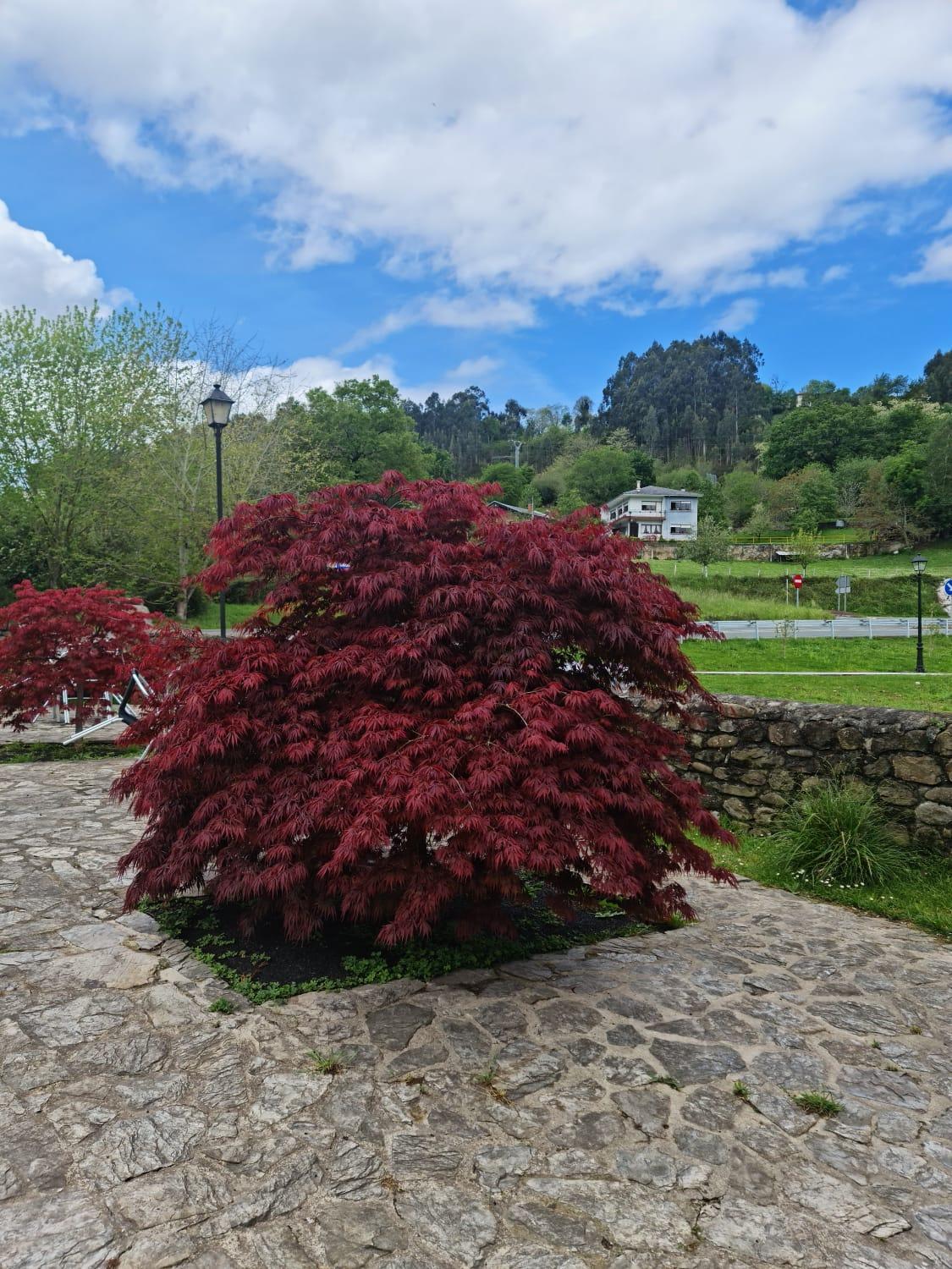 Posada Las Mozas Del Agua De Ríocorvo Buitenkant foto